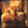 Kevin